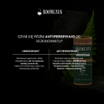 Roomcays Alüminyum İçermeyen Doğal Erkek Ter Önleyici 45gr resmi